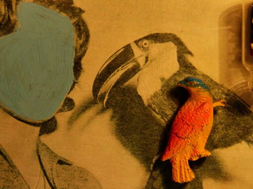 Fotograma a fotograma: animación artesanal en stop motion
